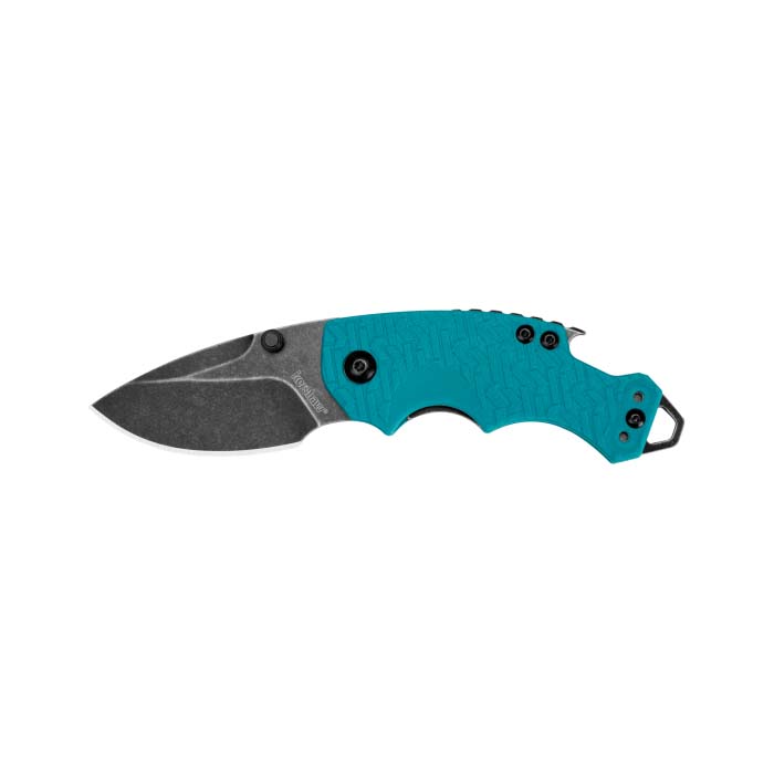 Kershaw Blur - BlackWash